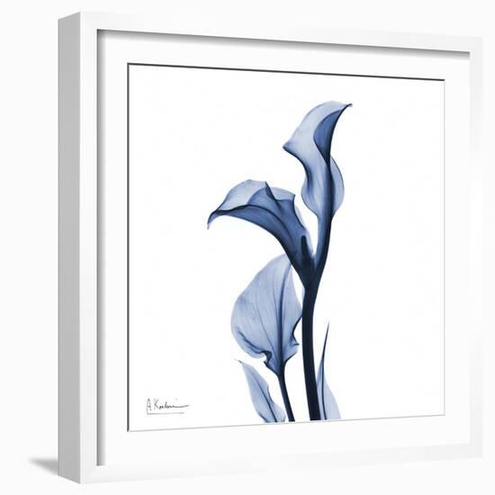 Indigo Covered Calla Lily-Albert Koetsier-Framed Art Print