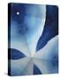 Indigo Daydream V-Renee W. Stramel-Stretched Canvas