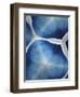 Indigo Daydream VII-Renee W. Stramel-Framed Art Print