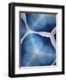 Indigo Daydream VII-Renee W. Stramel-Framed Art Print