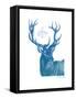 Indigo Deer I-Gwendolyn Babbitt-Framed Stretched Canvas