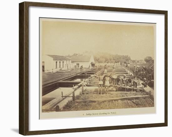 Indigo factory , 1877-Oscar Jean Baptiste Mallitte-Framed Giclee Print