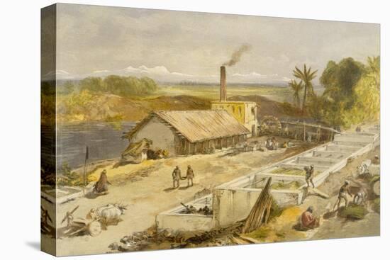 Indigo Factory - Bengal, from 'India Ancient and Modern', 1867 (Colour Litho)-William 'Crimea' Simpson-Stretched Canvas