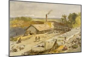 Indigo Factory - Bengal, from 'India Ancient and Modern', 1867 (Colour Litho)-William 'Crimea' Simpson-Mounted Giclee Print