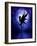 Indigo Fairy-Julie Fain-Framed Art Print