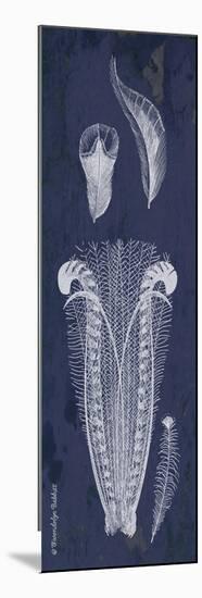 Indigo Feathers I-Gwendolyn Babbitt-Mounted Art Print