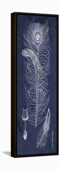 Indigo Feathers II-Gwendolyn Babbitt-Framed Stretched Canvas