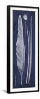 Indigo Feathers III-Gwendolyn Babbitt-Framed Premium Giclee Print