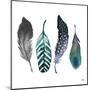 Indigo Feathers-Elizabeth Medley-Mounted Art Print