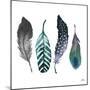 Indigo Feathers-Elizabeth Medley-Mounted Art Print