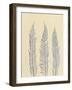 Indigo Fern 2-Mary Margaret Briggs-Framed Giclee Print