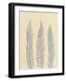 Indigo Fern 2-Mary Margaret Briggs-Framed Giclee Print