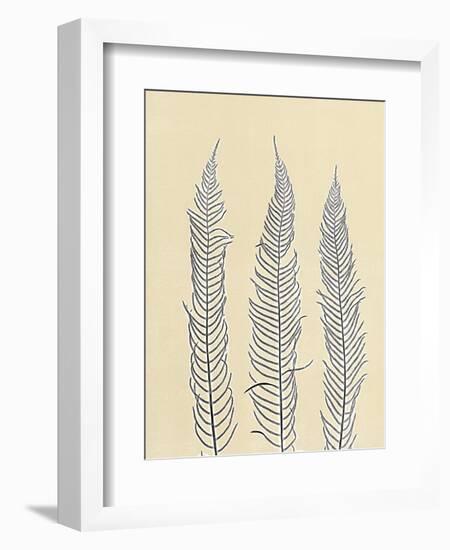 Indigo Fern 2-Mary Margaret Briggs-Framed Giclee Print