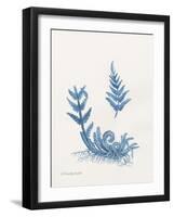 Indigo Fern I-Gwendolyn Babbitt-Framed Art Print