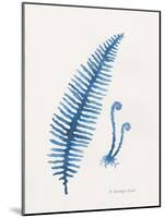 Indigo Fern II-Gwendolyn Babbitt-Mounted Art Print