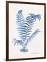 Indigo Fern III-Gwendolyn Babbitt-Framed Art Print