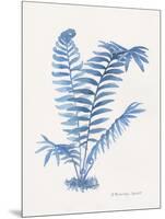 Indigo Fern III-Gwendolyn Babbitt-Mounted Art Print