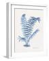 Indigo Fern III-Gwendolyn Babbitt-Framed Art Print