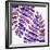 Indigo Fern Leaf Pattern-Cat Coquillette-Framed Giclee Print