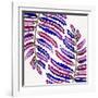 Indigo Fern Leaf Pattern-Cat Coquillette-Framed Giclee Print