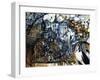 Indigo Fish-Oxana Zaika-Framed Giclee Print