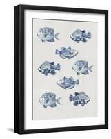 Indigo Fishes-Aimee Wilson-Framed Art Print