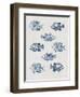 Indigo Fishes-Aimee Wilson-Framed Premium Giclee Print