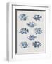 Indigo Fishes-Aimee Wilson-Framed Premium Giclee Print