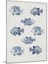 Indigo Fishes-Aimee Wilson-Mounted Art Print