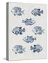 Indigo Fishes-Aimee Wilson-Stretched Canvas