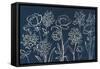 Indigo Floral I-Silvia Vassileva-Framed Stretched Canvas