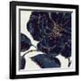 Indigo Garden II-Daphne Brissonnet-Framed Art Print