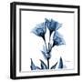 Indigo Gentian-Albert Koetsier-Framed Art Print