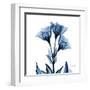 Indigo Gentian-Albert Koetsier-Framed Art Print