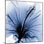 Indigo Hibiscus Turn-Albert Koetsier-Mounted Art Print