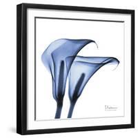 Indigo Infused Calla Lilies-Albert Koetsier-Framed Art Print