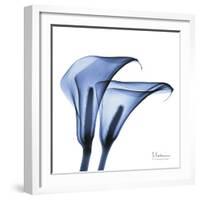 Indigo Infused Calla Lilies-Albert Koetsier-Framed Art Print