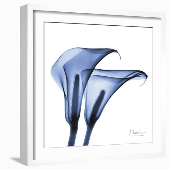 Indigo Infused Calla Lilies-Albert Koetsier-Framed Art Print