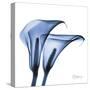 Indigo Infused Calla Lilies-Albert Koetsier-Stretched Canvas