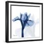 Indigo Infused Iris-Albert Koetsier-Framed Art Print