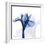 Indigo Infused Iris-Albert Koetsier-Framed Art Print