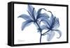 Indigo Infused Lily 2-Albert Koetsier-Framed Stretched Canvas