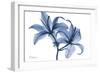 Indigo Infused Lily 2-Albert Koetsier-Framed Art Print