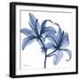 Indigo Infused Lily-Albert Koetsier-Framed Premium Giclee Print