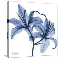 Indigo Infused Lily-Albert Koetsier-Stretched Canvas