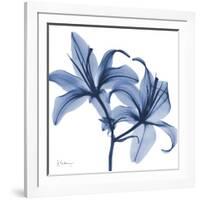 Indigo Infused Lily-Albert Koetsier-Framed Art Print