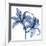 Indigo Infused Lily-Albert Koetsier-Framed Art Print