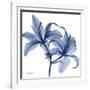 Indigo Infused Lily-Albert Koetsier-Framed Art Print