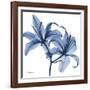 Indigo Infused Lily-Albert Koetsier-Framed Art Print