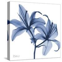 Indigo Infused Lily-Albert Koetsier-Stretched Canvas